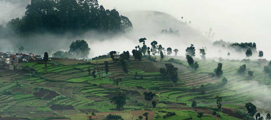 kodaikanal-tour